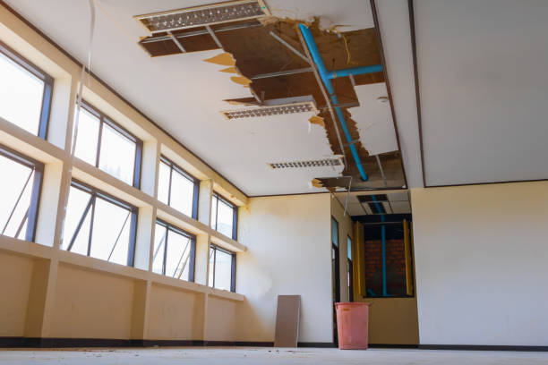 Best Local water damage restoration  in Diaz, AR