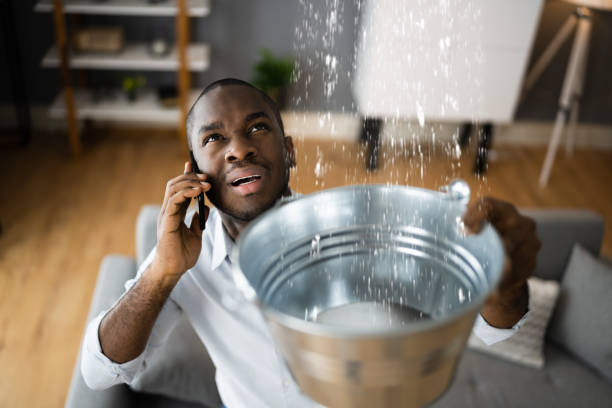 Best Flood damage cleanup  in Diaz, AR