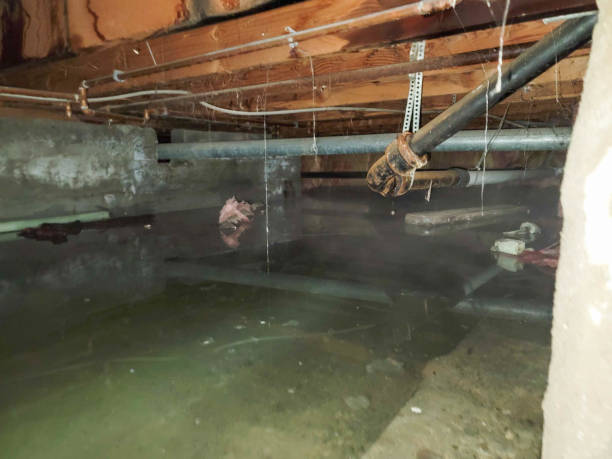  Diaz, AR Water damage restoration Pros