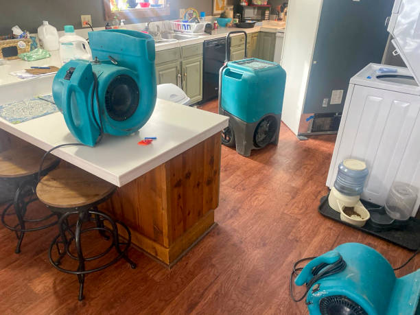 Best Water damage restoration specialists  in Diaz, AR