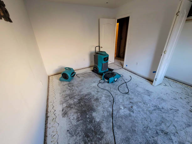 Best Emergency water damage restoration  in Diaz, AR