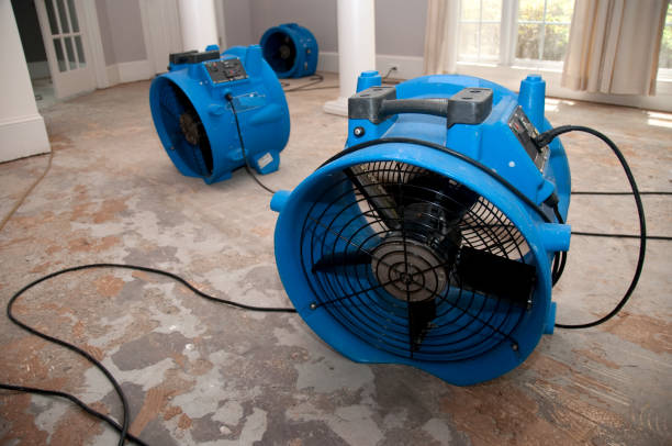 Best 24-hour water damage restoration  in Diaz, AR