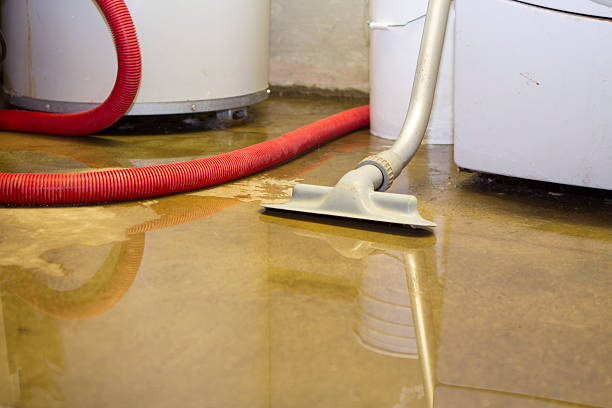 Best Mold removal after water damage  in Diaz, AR
