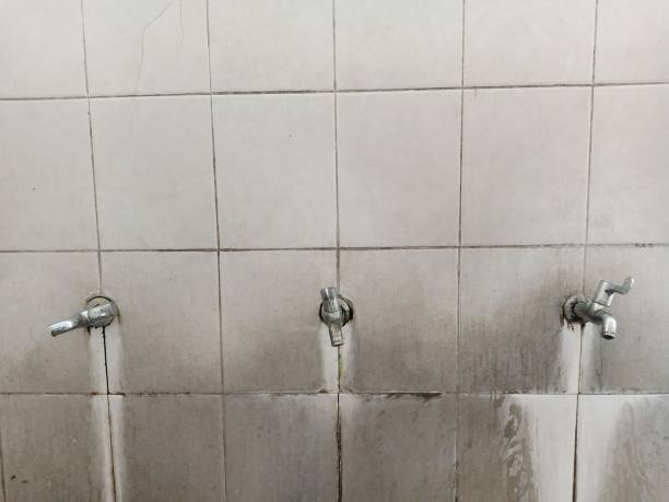 Best Residential water damage restoration  in Diaz, AR