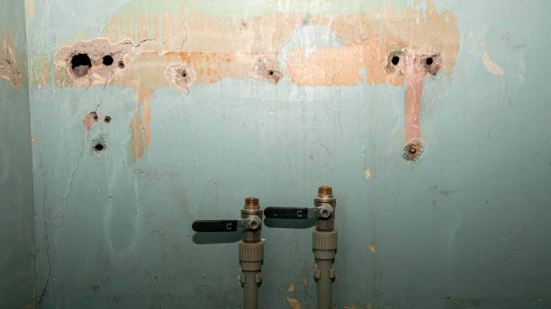 Best Ceiling water damage repair  in Diaz, AR