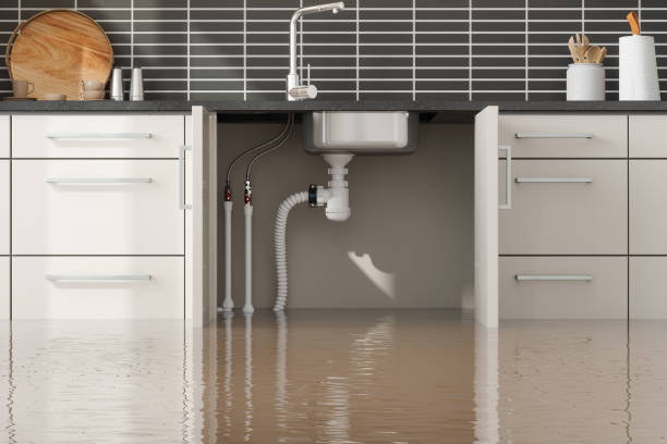 Best Water damage restoration near me  in Diaz, AR